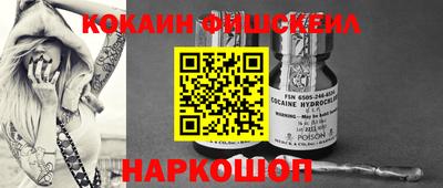 спиды Гусев