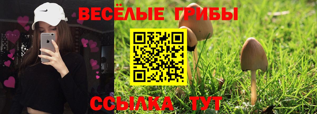 как найти   Галлюциногенные грибы GOLDEN TEACHER  Вход с VPN  Наро-Фоминск  Псилоцибиновые грибы Magic Shrooms 